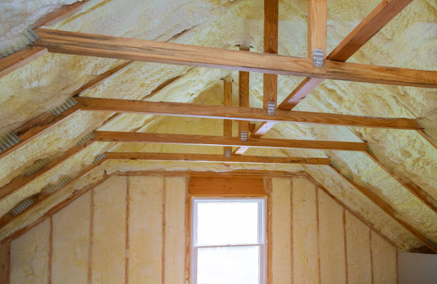 Best Specialized Insulation Services in Buffalo, NY